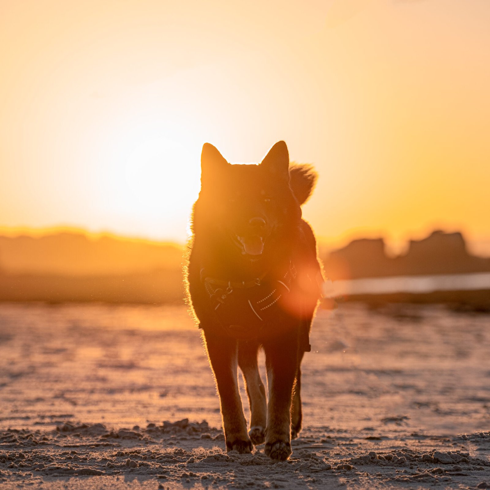 DSCF3867-Modifier-Modifier